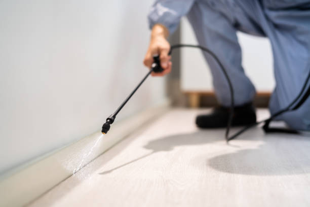 Licensed Mosquito Control service in El Dorado Hills, CA - Nex Pest Control
