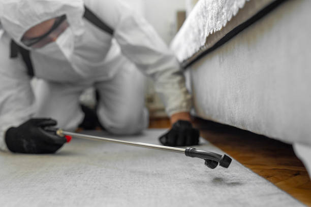 Professional Mosquito Control technician working in El Dorado Hills, CA