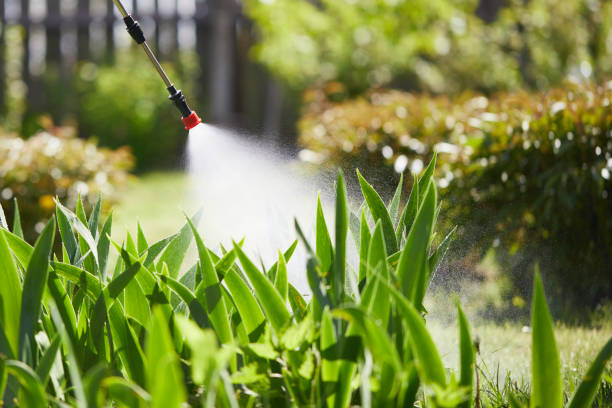24/7 Emergency Mosquito Control experts in El Dorado Hills, CA