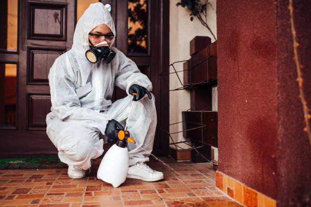 Reliable Mosquito Control contractor in El Dorado Hills, CA by Nex Pest Control