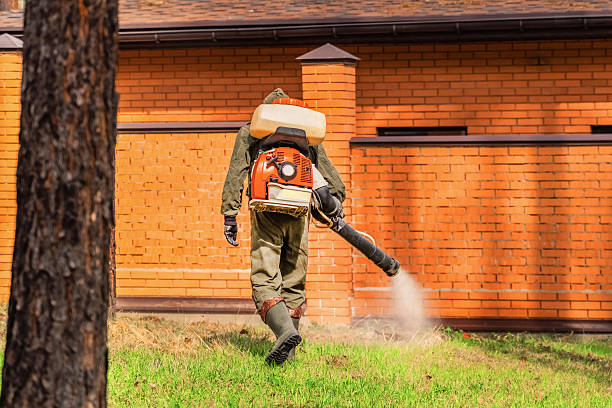 Trusted Termite Control service in El Dorado Hills, CA - Nex Pest Control